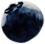 berry1.png