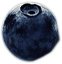 berry2.png