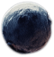 berry4.png