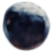 berry5.png