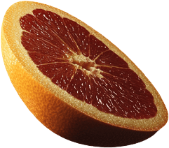 citrus1.png