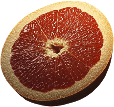 citrus2.png
