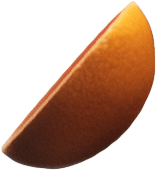 citrus3.png