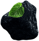 mint2.png