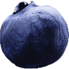 n-berry5.png