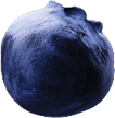 n-berry6.png