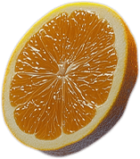 orange2.png