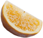 orange4.png