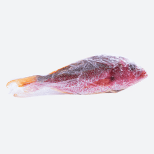 Red Snapper Fish 5lbs - EmpireMarkt