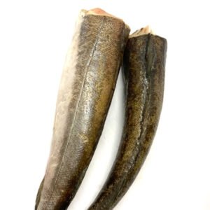 Hake Fish